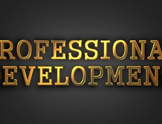 whatisprofessionaldevelopment